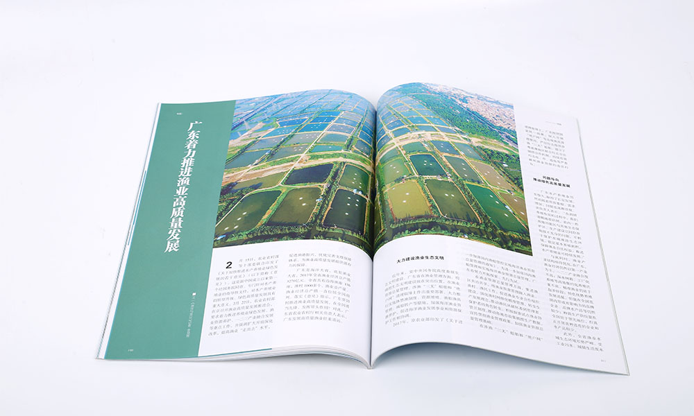 樣本宣傳冊設(shè)計制作多大尺寸？